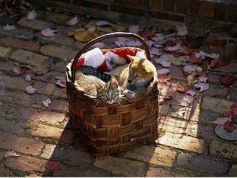 《最终幻想7重制过渡版》将于今日登陆Steam平台