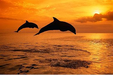 SE展示《Deep Insanity Asylum》新预告片和截图