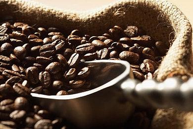 探秘《金垦小镇Dinkum》：在南半球开垦属于你的乐土