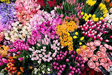 如龙发布会情报汇总 RGG预计9月再次召开新发布会