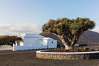 玩家声称《GTA6》女主演员已被找到 拉丁裔美女